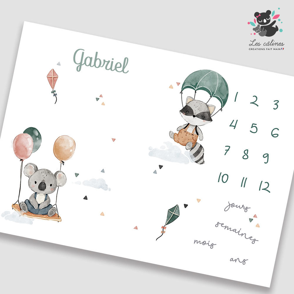 Couverture Etape Racoon