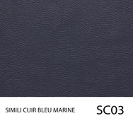 SC03.jpg