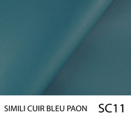 SC11.jpg