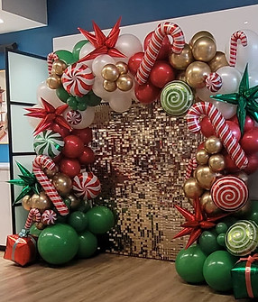 WhatsApp Image 2025-11-28 at 15.57.12.jpeg