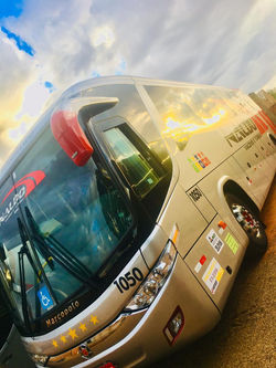 NALDO TURISMO