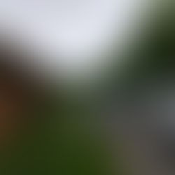 Fort Wayne Parks & RecreationTournament