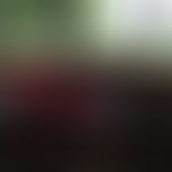 Fort Wayne Parks & Recreation Tournament