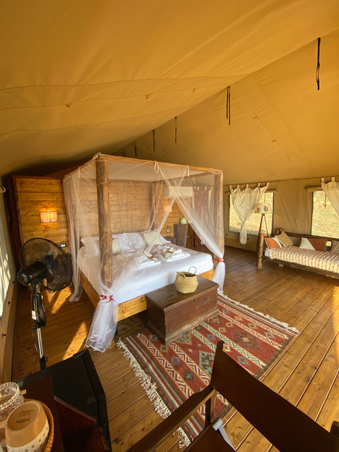 Glamping Saturnia