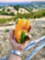 peperone