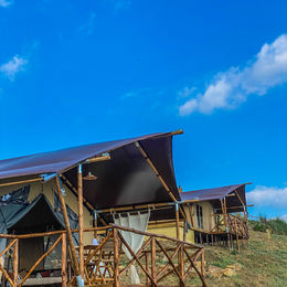 glamping saturnia
