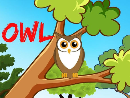Owl