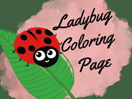Color Your Ladybug!