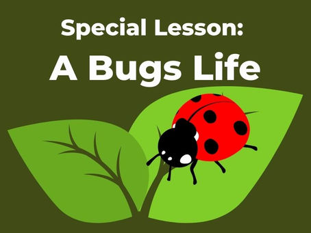 Special Lesson: A Bugs Life
