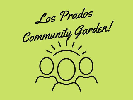Year-End Graduation at the Los Prados Park
