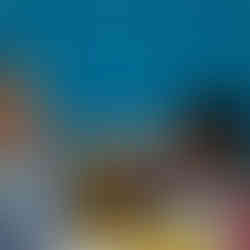 Alunos da Escola Municipal Benvinda Moreira Pacheco participam de oficina de pintura do Projeto Eu Passarinho