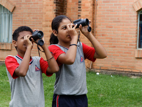 Descobrindo o Mundo das Aves: Projeto Eu Passarinho na Escola Municipal Ana Moura