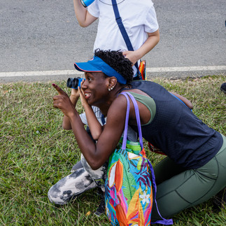Observação de aves no Parque Ipanema em Ipatinga - Projeto Eu Passarinho
