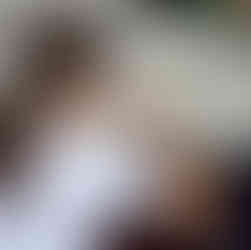 Oficina de pintura de aves projeto Eu Passarinho E. E. Capitão Egidio Lima Timóteo