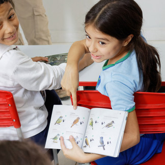 Oficina de observação de aves na Escola Municipal em Marliéria - Projeto Eu Passarinho