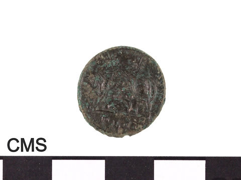 coin 1_back_before copy_edited_edited_edited.jpg