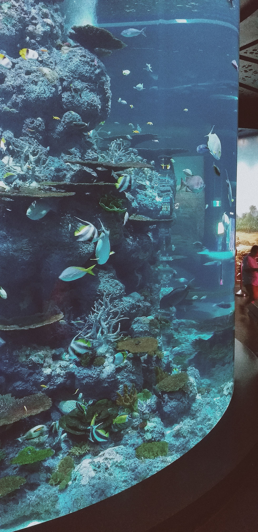 Sea Aquarium, Singapore