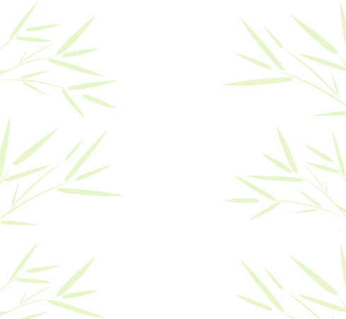 Bamboo back green 2.jpg