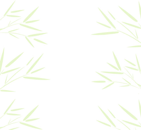 Bamboo back green 2.jpg