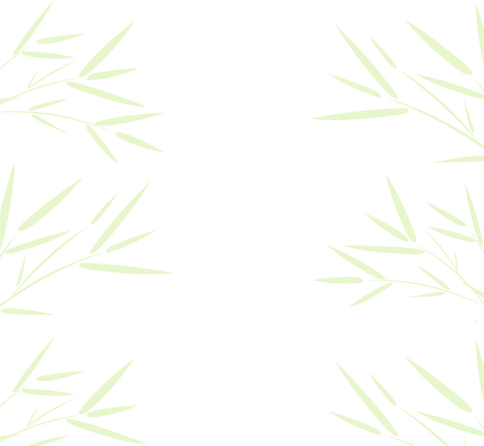 Bamboo back green 2.jpg