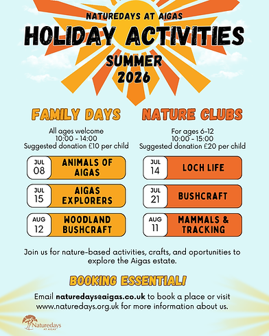 Summer activities 2026.png