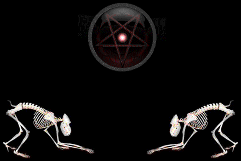 ___