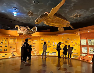 KakaoTalk_Photo_2024-02-16-22-08-15 001.jpeg