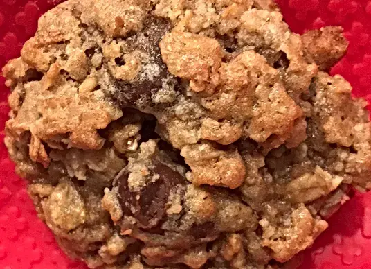 Oatmeal Raisinette