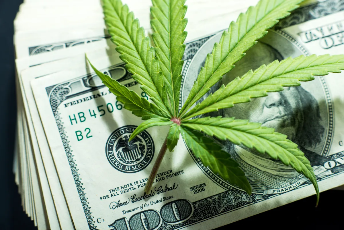 Marijuana-Cash-Photo.webp