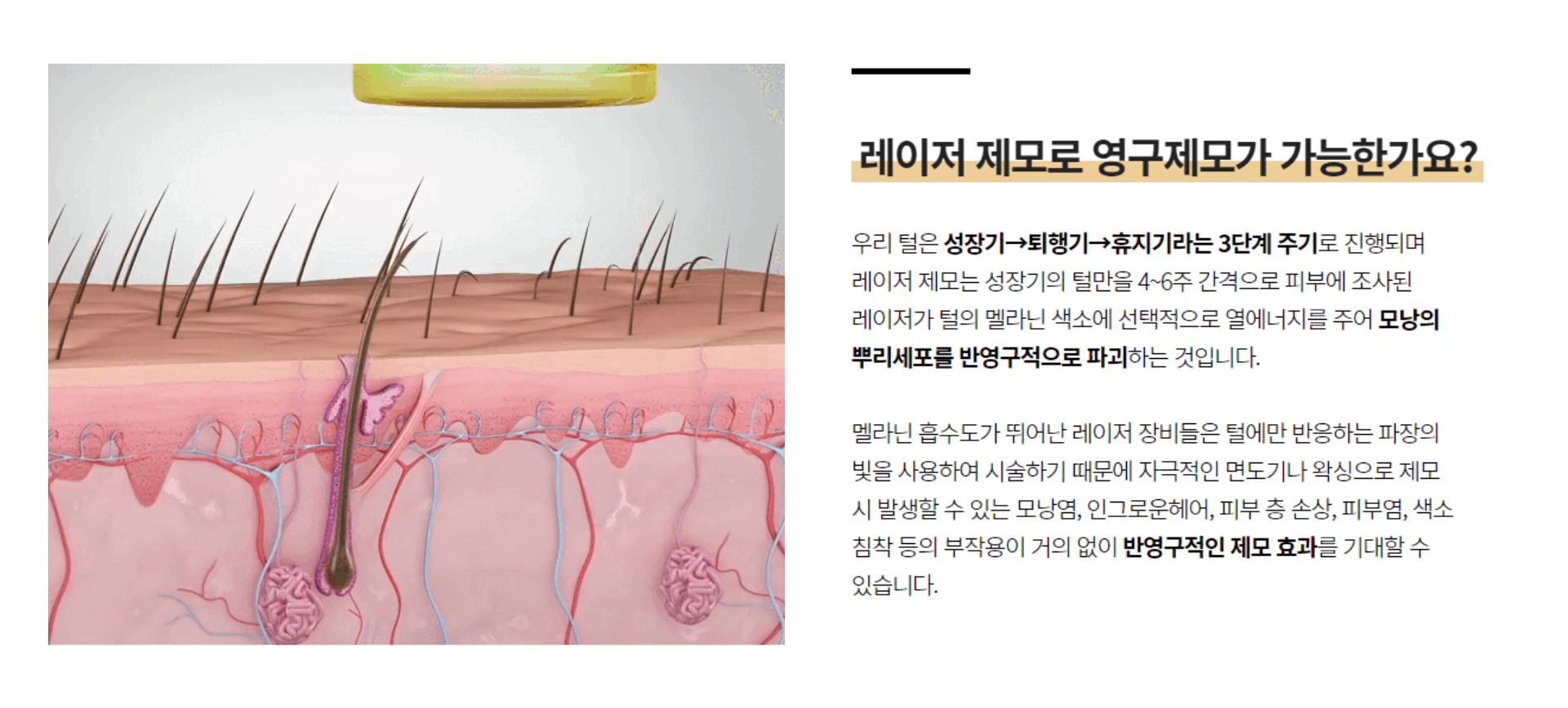 연세에스랜딩 (2).gif