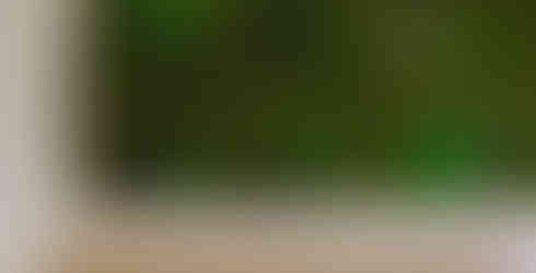 Parete in verde stabilizzato  con parti in rilievo tra muschi e licheni
