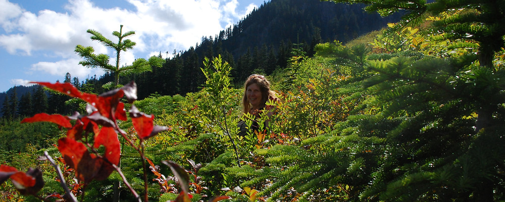 Heidi Bohan found a huckleberry patch