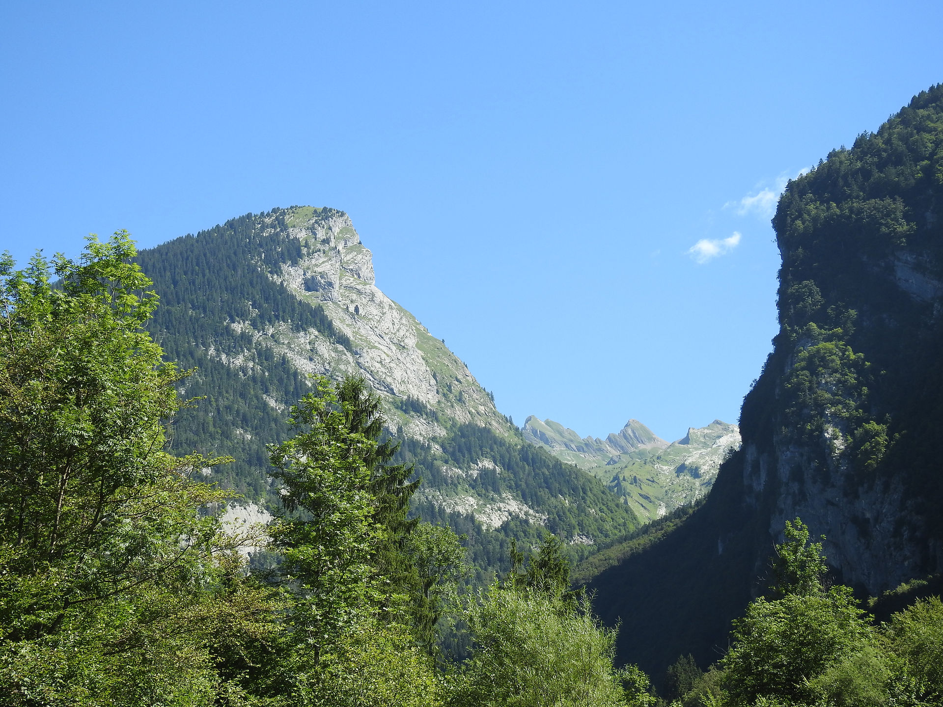 16-08-12 434 st-bernard