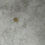 Thumbnail: Crystal Stone - Potassium Alum