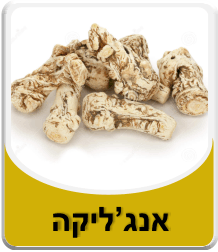 תמונה לאבקת בורקס