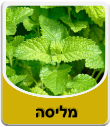 תמונה לאבקת בורקס