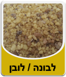 תמונה לאבקת בורקס