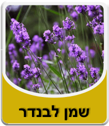 תמונה לאבקת בורקס