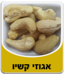 אגוזי קשיו גדולים 250 גרם