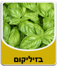 תמונה לאבקת בורקס