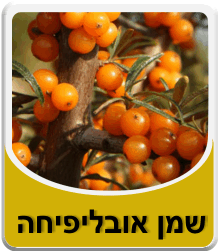 תמונה לאבקת בורקס