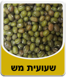 שעועית מאש 500 גרם