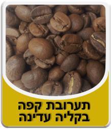 תמונה לאבקת בורקס
