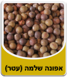 Thumbnail: אפונה 500 גרם