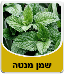 תמונה לאבקת בורקס