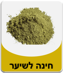 איך לעשות חינה לשיער