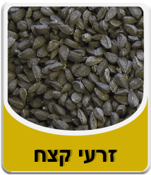 זרעי קצח
