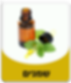 שמנים אתרים ושמני בסיס