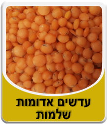 תמונה של עדשים אדומות חצויות