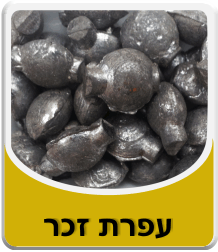 תמונה לאבקת בורקס